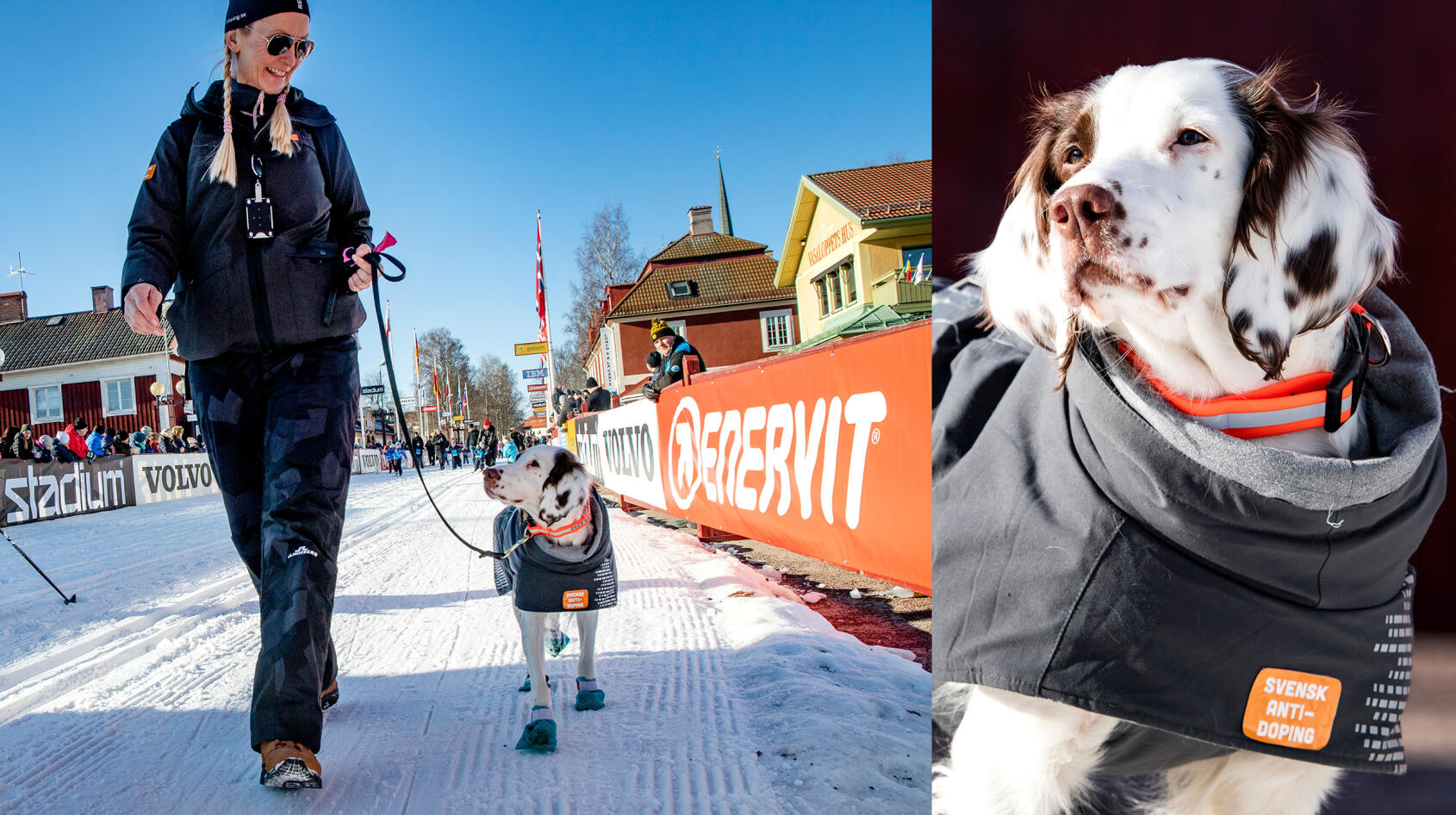 Molly hittar droger i sportens värld