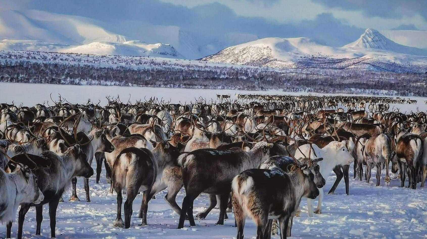 Sveriges nordligaste by har oförglömlig natur