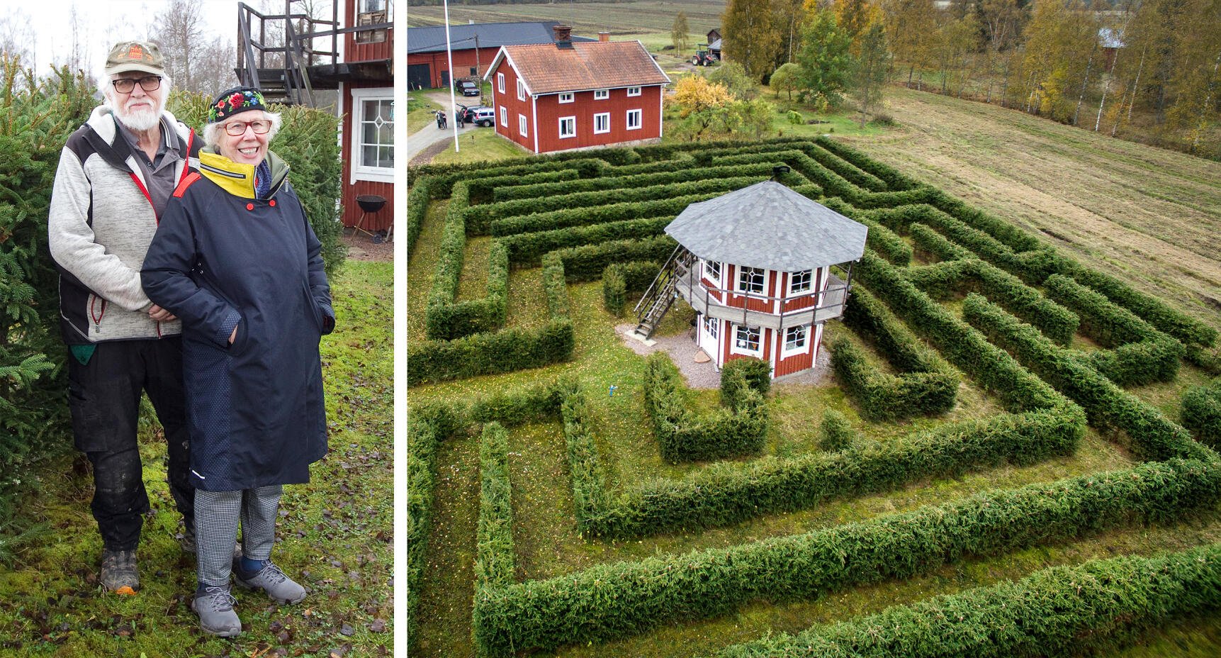Vi har en labyrint bestående av 1700 granar i trädgården!