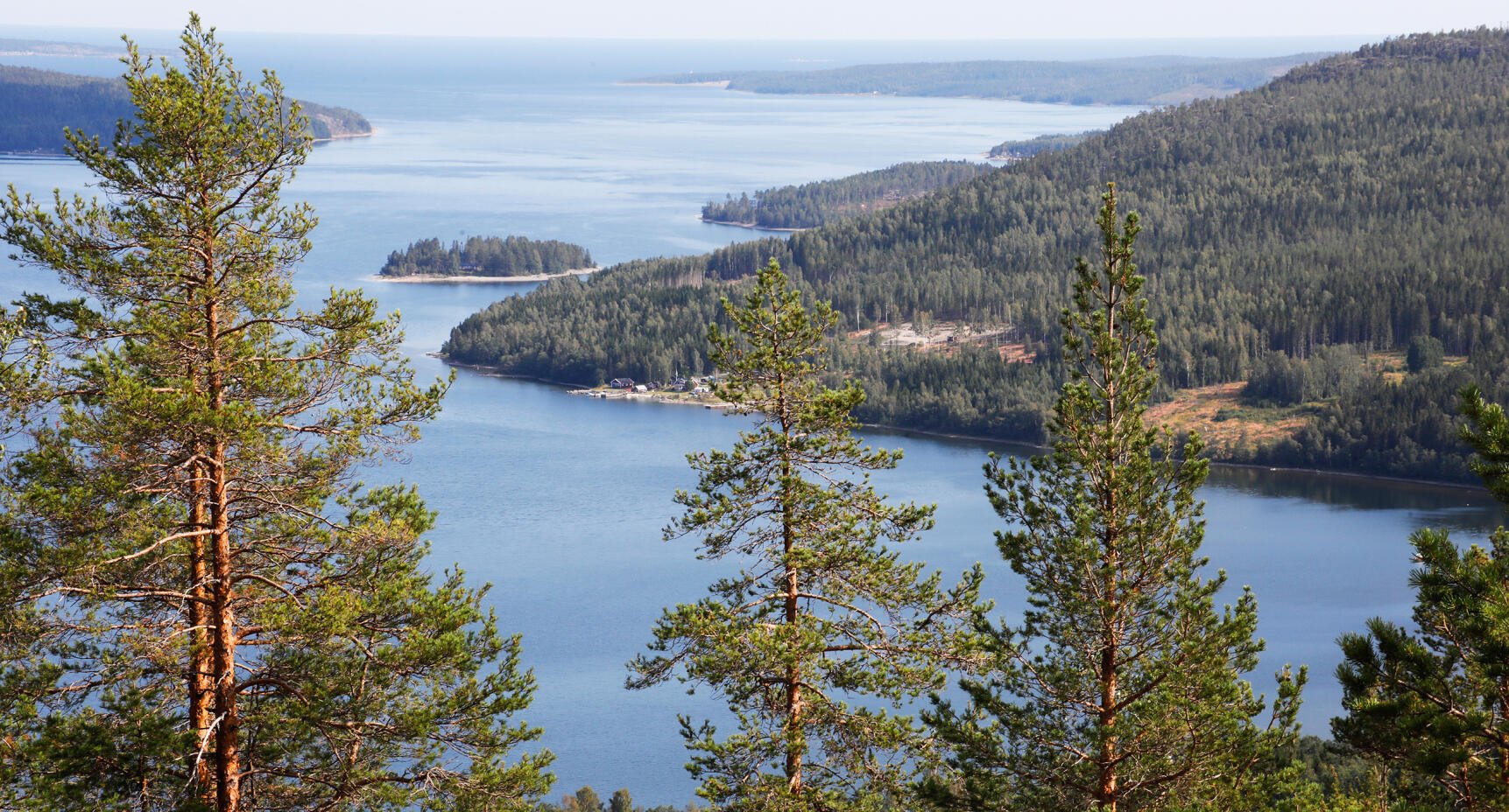 Ta en promenad i Vintersverige!