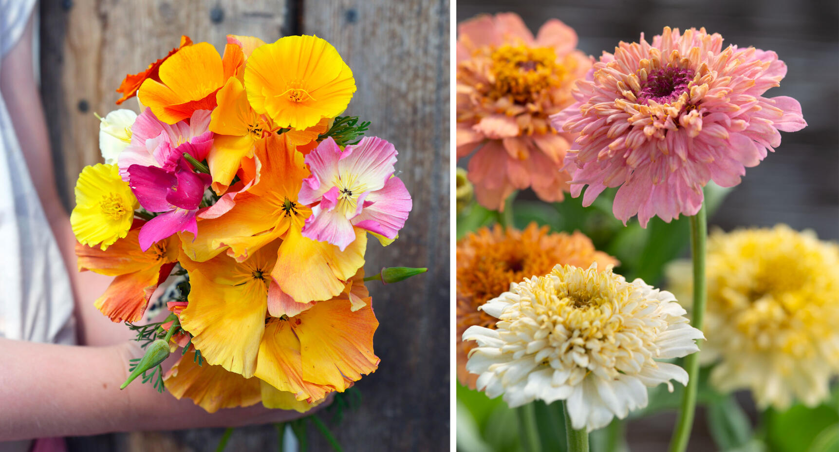 Vårens läckra frönyheter – 13 favoritblommor