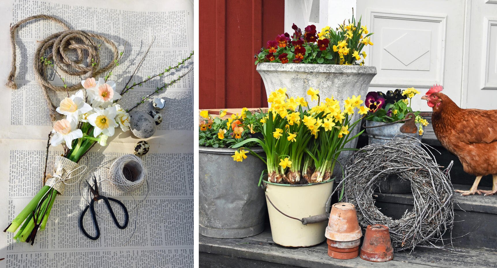 Njut av påskens vackraste blommor