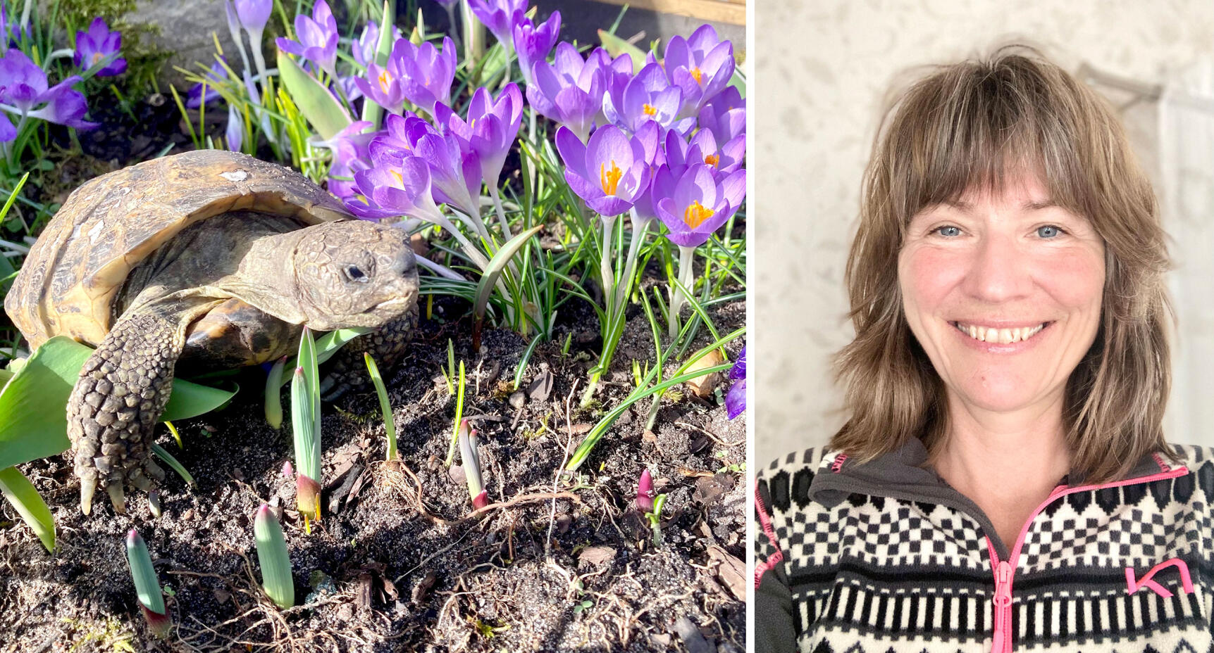 80-åriga Skalman dök upp igen – efter 5 månader på rymmen