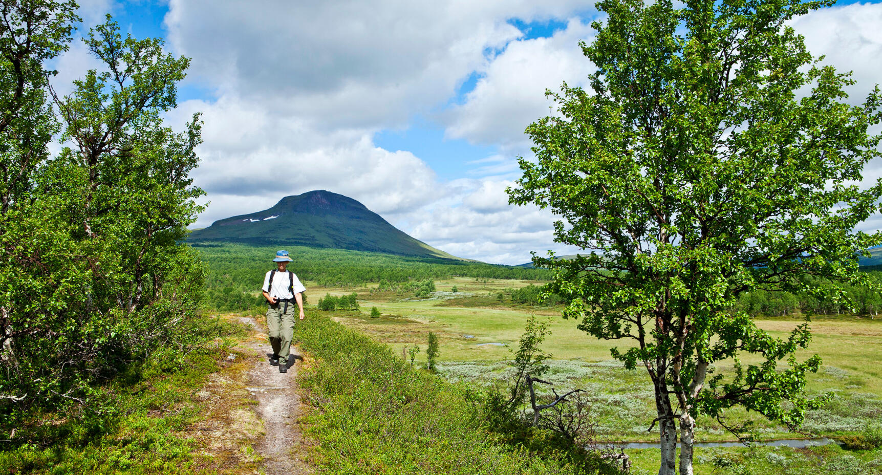 Äntligen sommar – då längtar jag till fjällen!