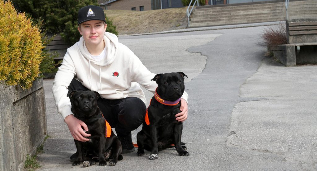 Wilgot med hunden Cocos och hennes efterträdare Nocco.