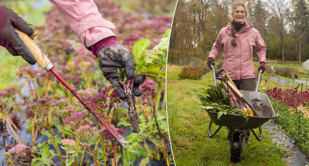 Med våra tips kan du ge både dig själv och trädgården en bra start på våren!