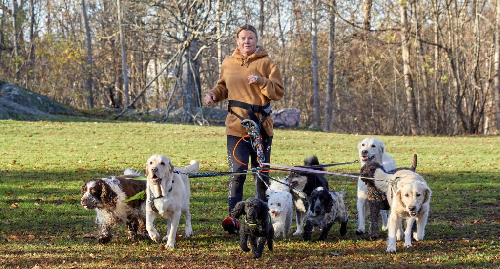 Fullt ös i parken när Pernilla Bergqvist kommer joggande med inte mindre än nio hundar i koppel.