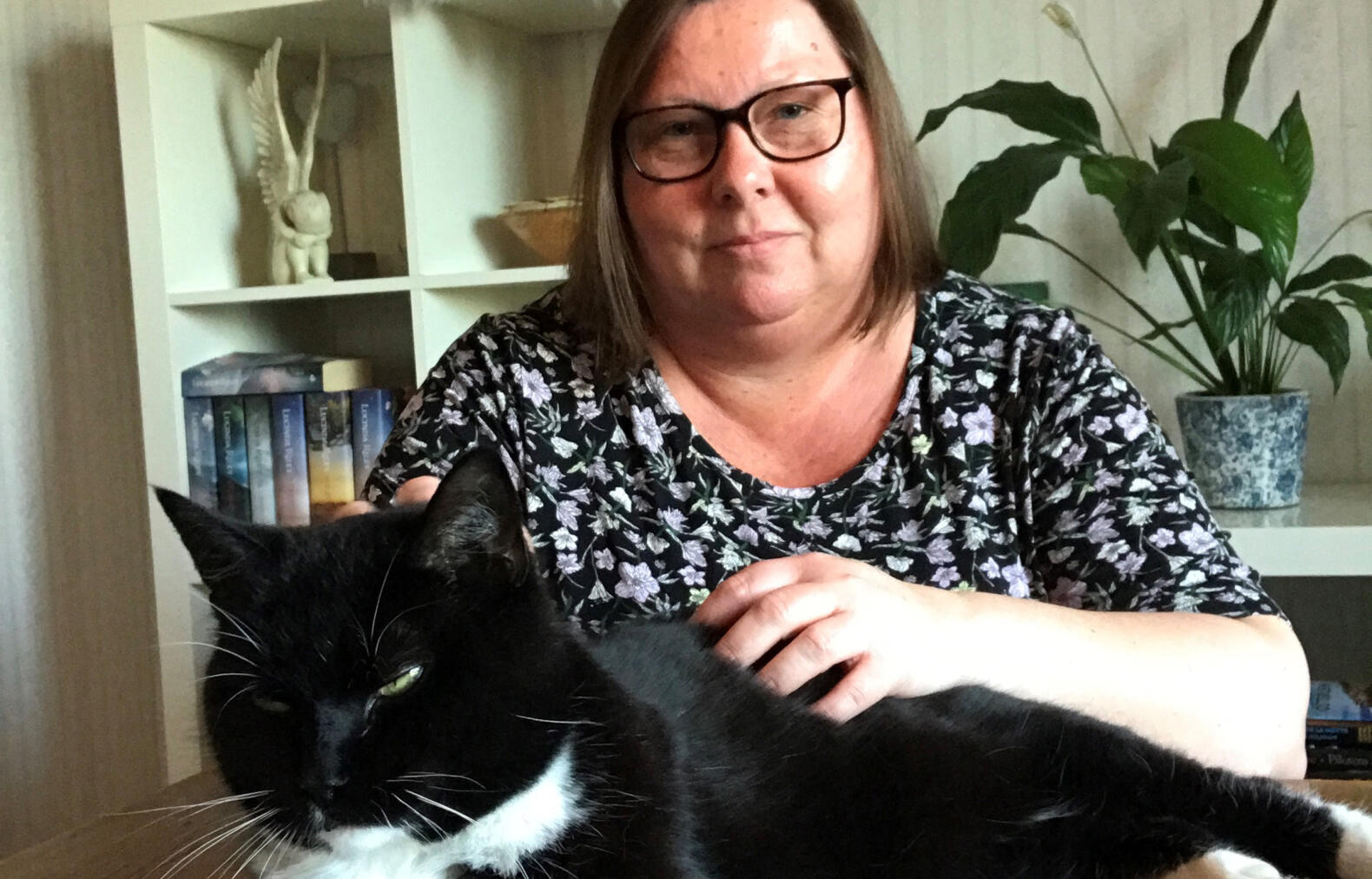 Försvunna katten Lurvas återfanns 80 mil hemifrån: “Jag vill inte förlora honom igen”