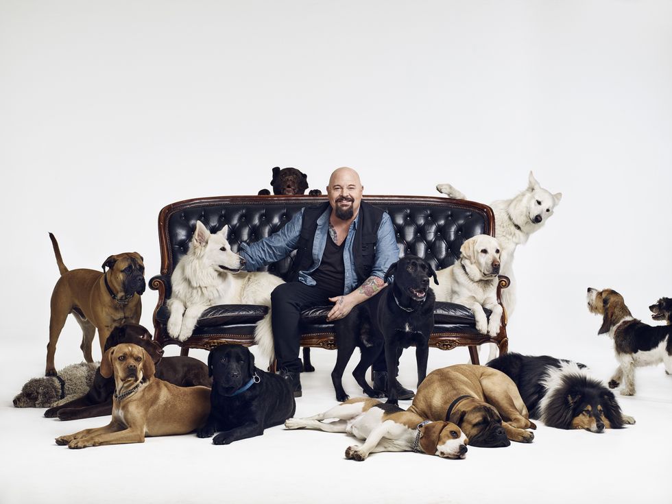 Anders Bagge: