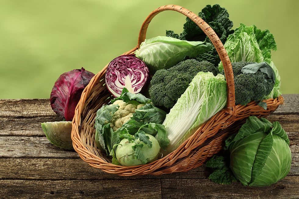 Ut och plocka höstens superfood!