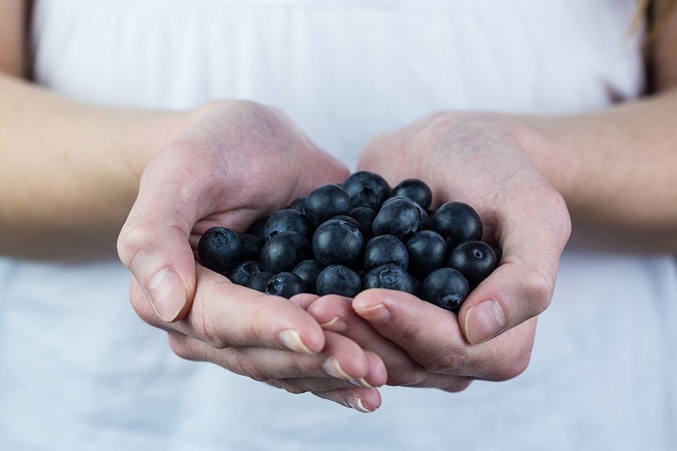 Ut och plocka höstens superfood!