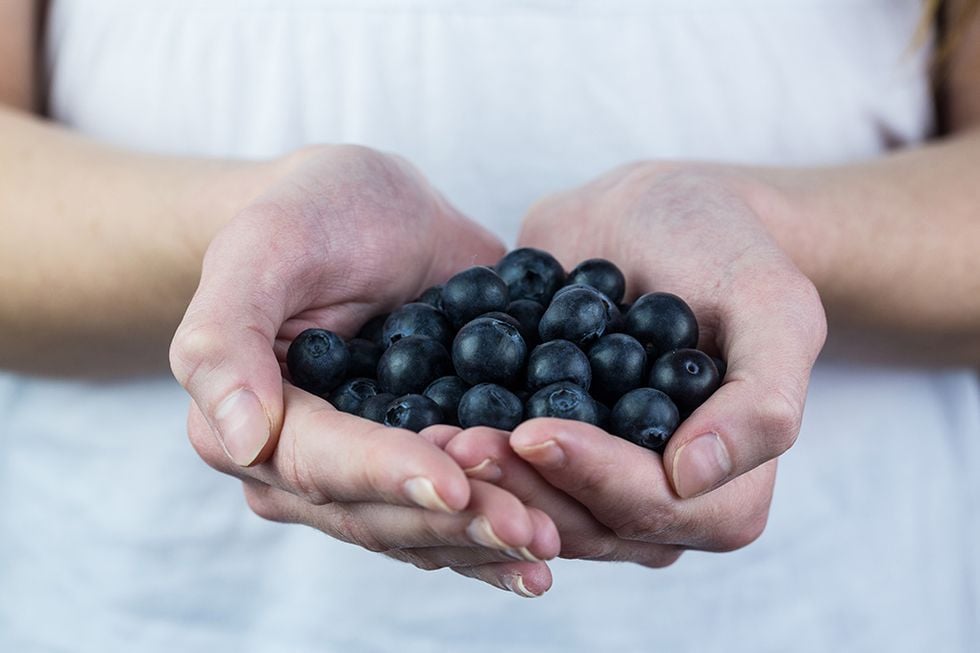 Ut och plocka höstens  superfood!