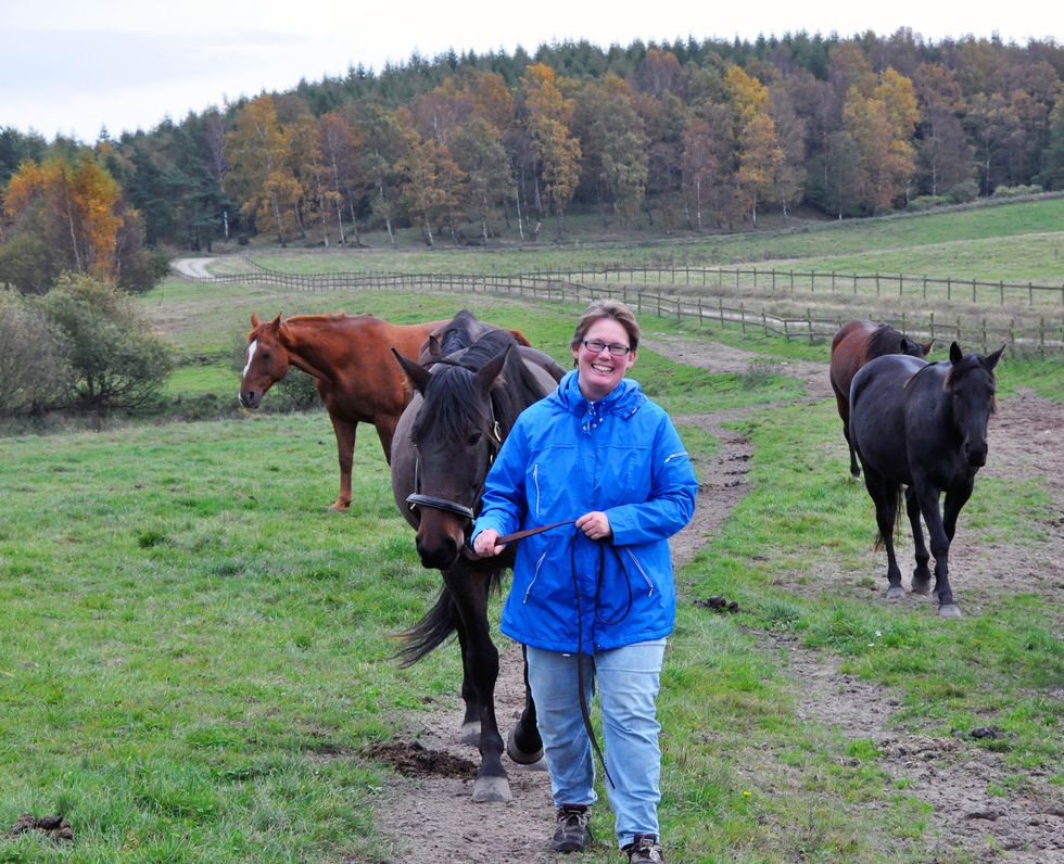 Här får hästarna leva pensionärsliv!