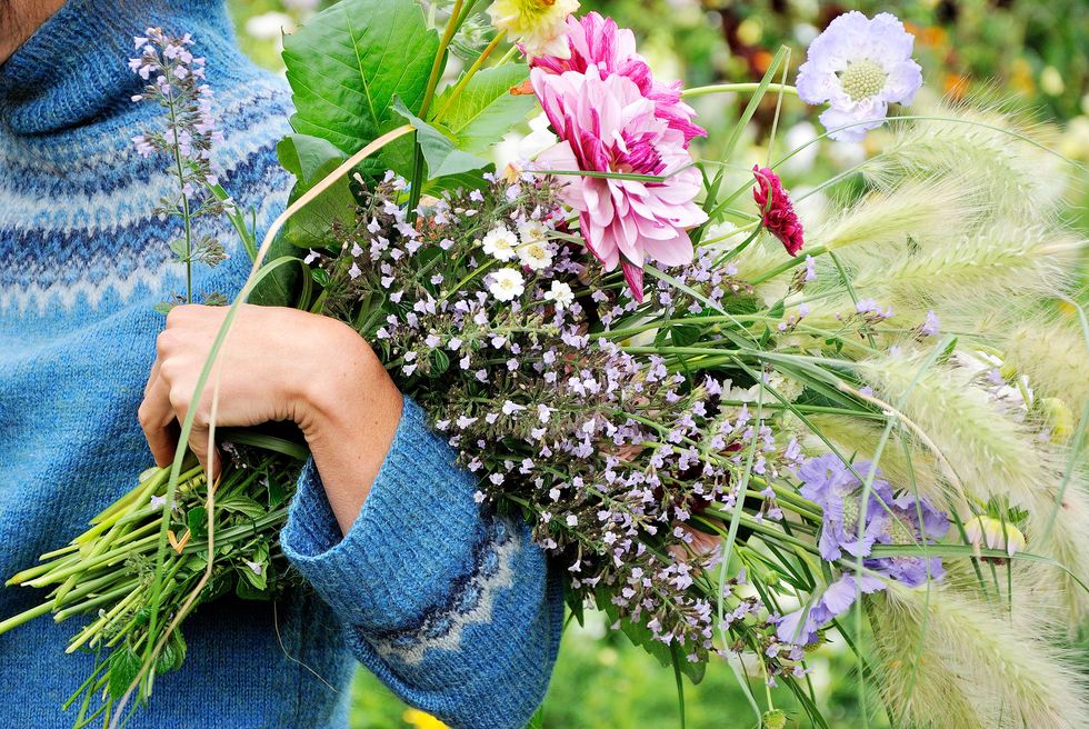 Ge plats för nya blommor i trädgården!