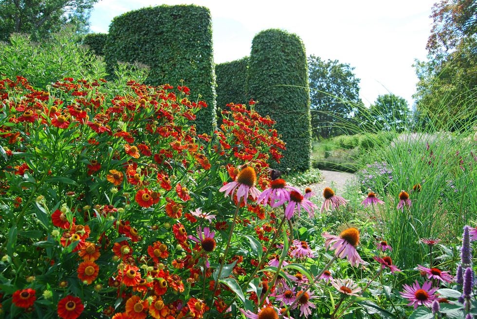 Ge plats för nya blommor i trädgården!