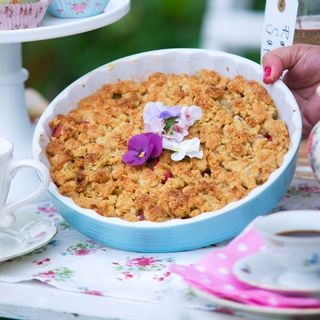 Ljuvlig vår i kolonin!