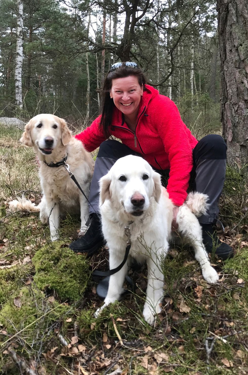 Lotta Engberg får äntligen spela bitska rektorn