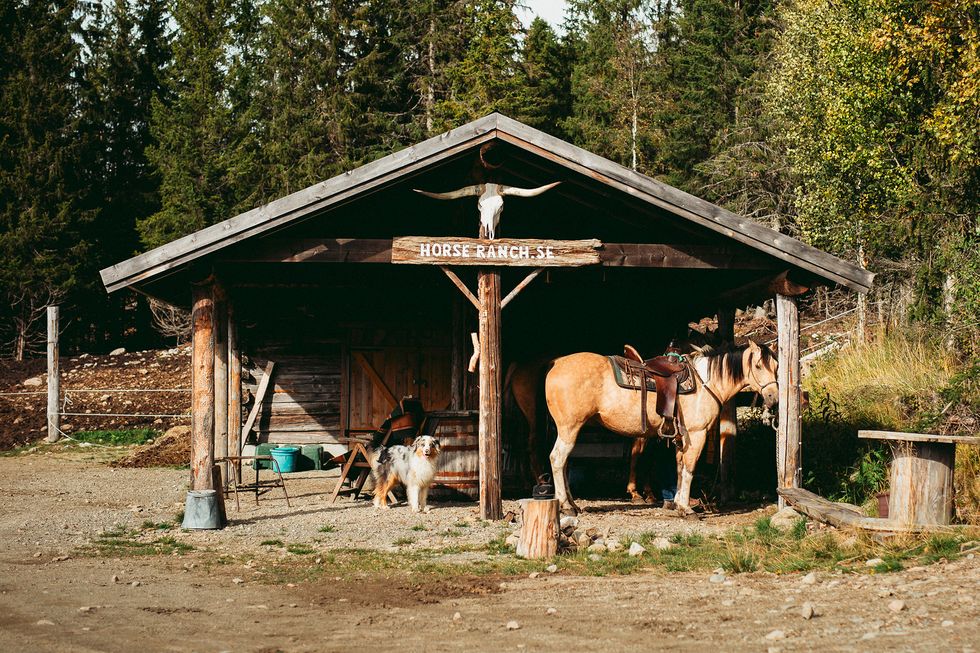Hanna och Johan fann varandra under en fjällridning