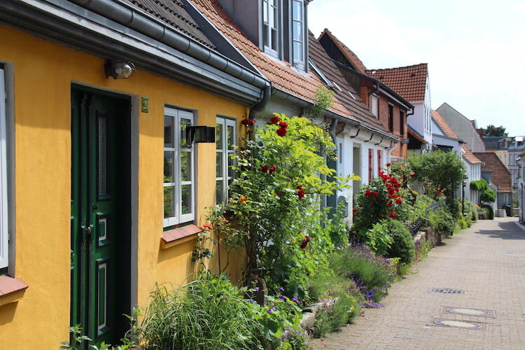 Upplev naturen i tyska Schleswig-Holstein