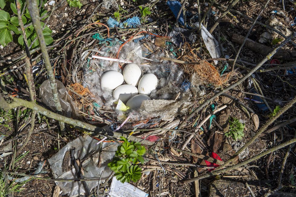 Möt hjältarna som städar bohuskusten ren från plast