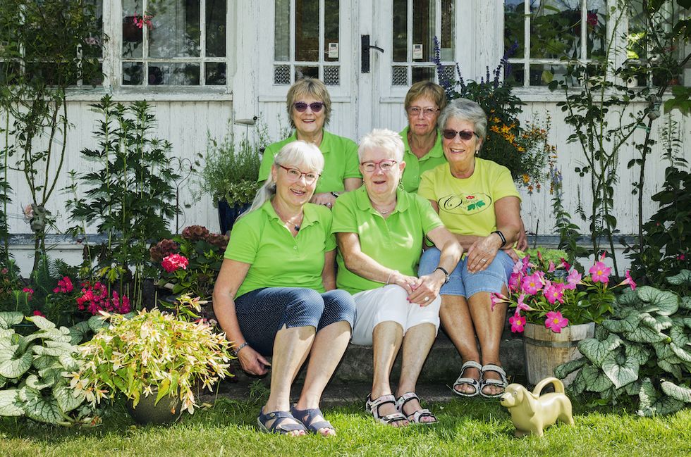 Vännerna fyller bussen med blommor på sina resor