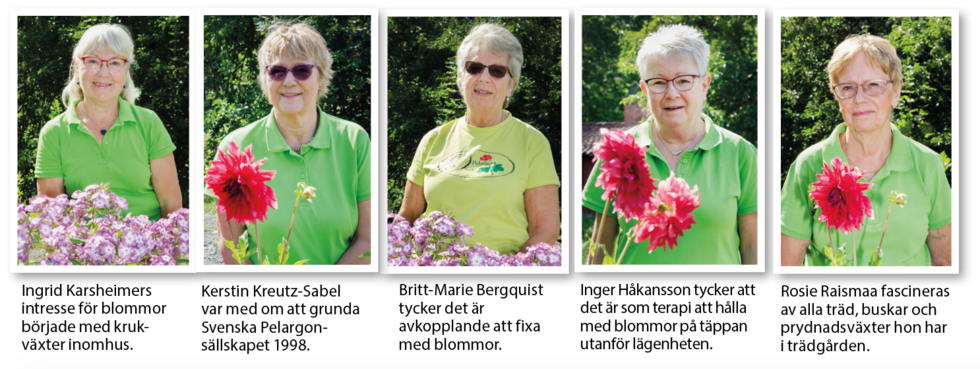 Vännerna fyller bussen med blommor på sina resor