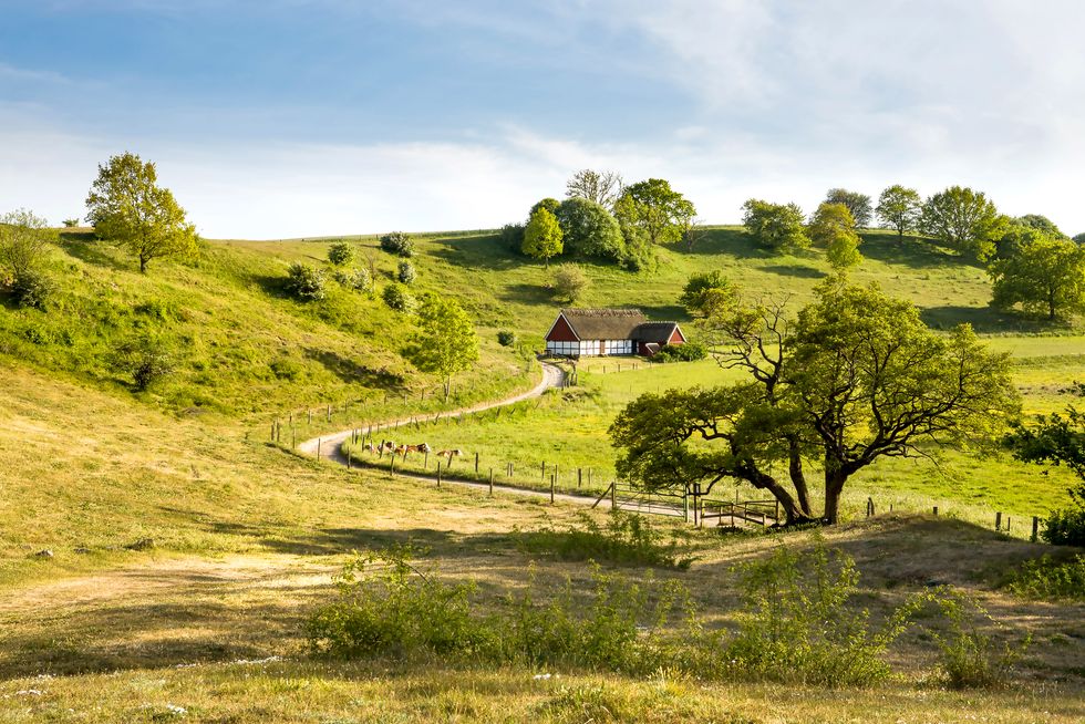Upptäck Österlen i sommar – stor guide