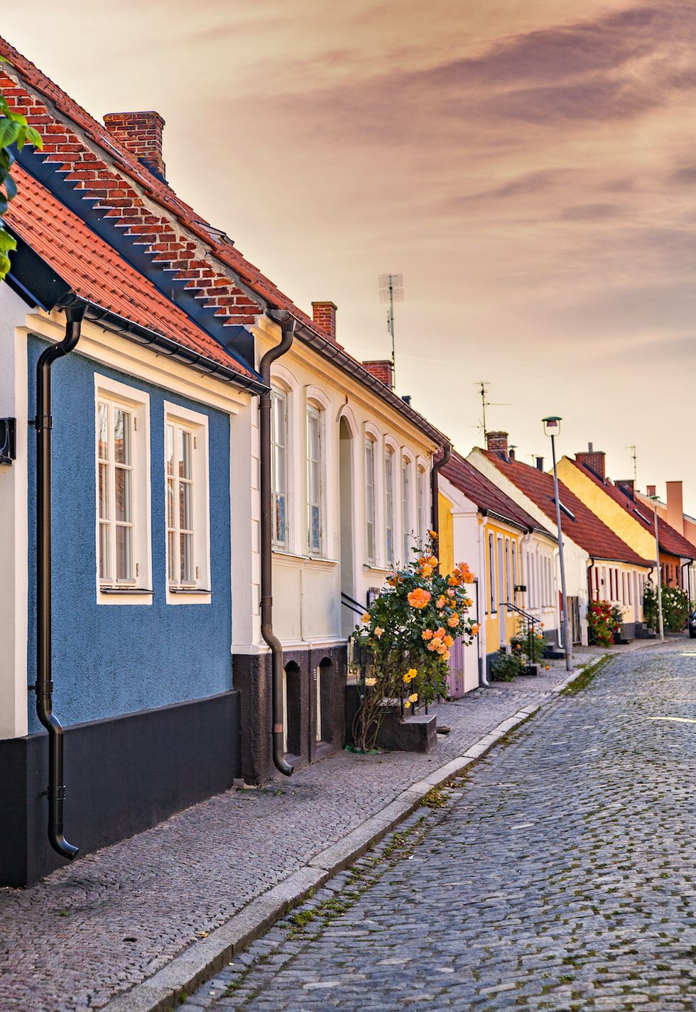 Upptäck Österlen i sommar – stor guide