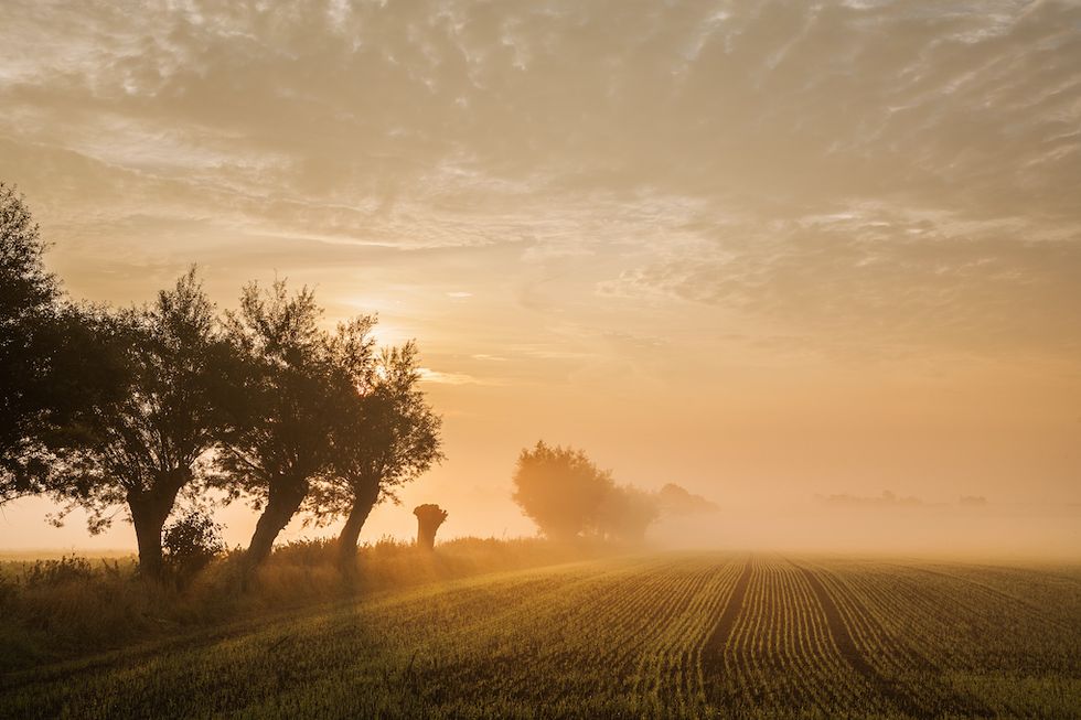 Upptäck Österlen i sommar – stor guide
