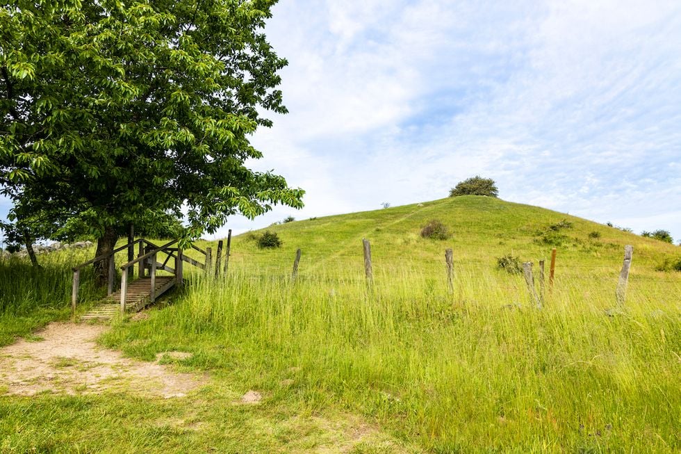 Upptäck Österlen i sommar – stor guide