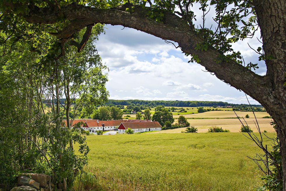 Upptäck Österlen i sommar – stor guide