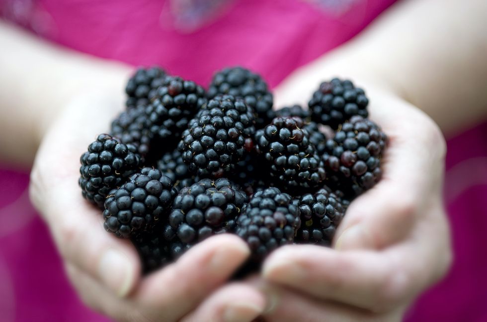 Frossa i nyttiga superbär – 9 favoriter i Sommarsverige