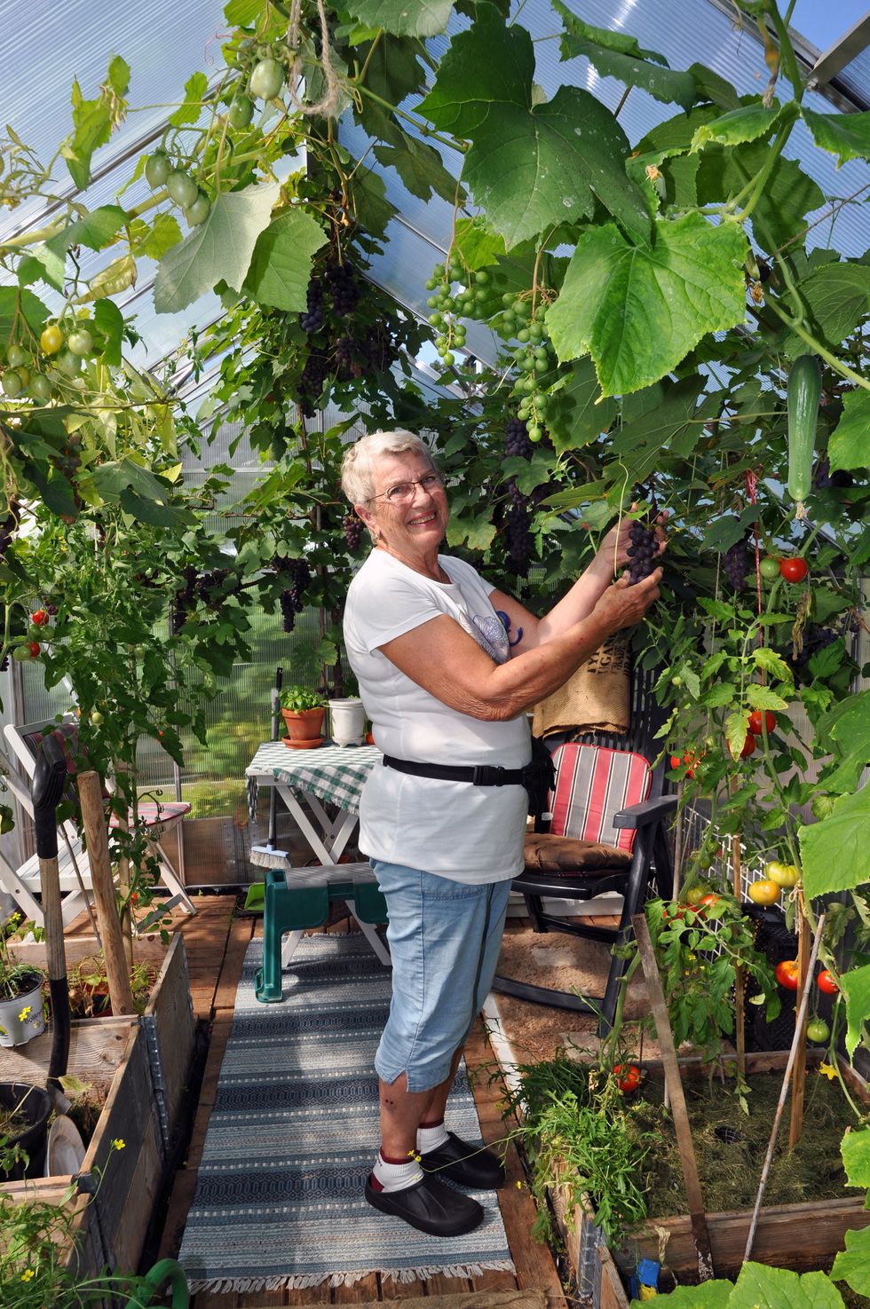 Det ljuva kolonilivet: odlarglädje mitt i stan!
