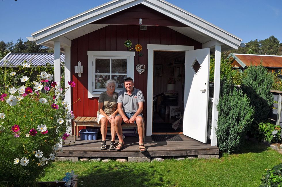 Det ljuva kolonilivet: odlarglädje mitt i stan!