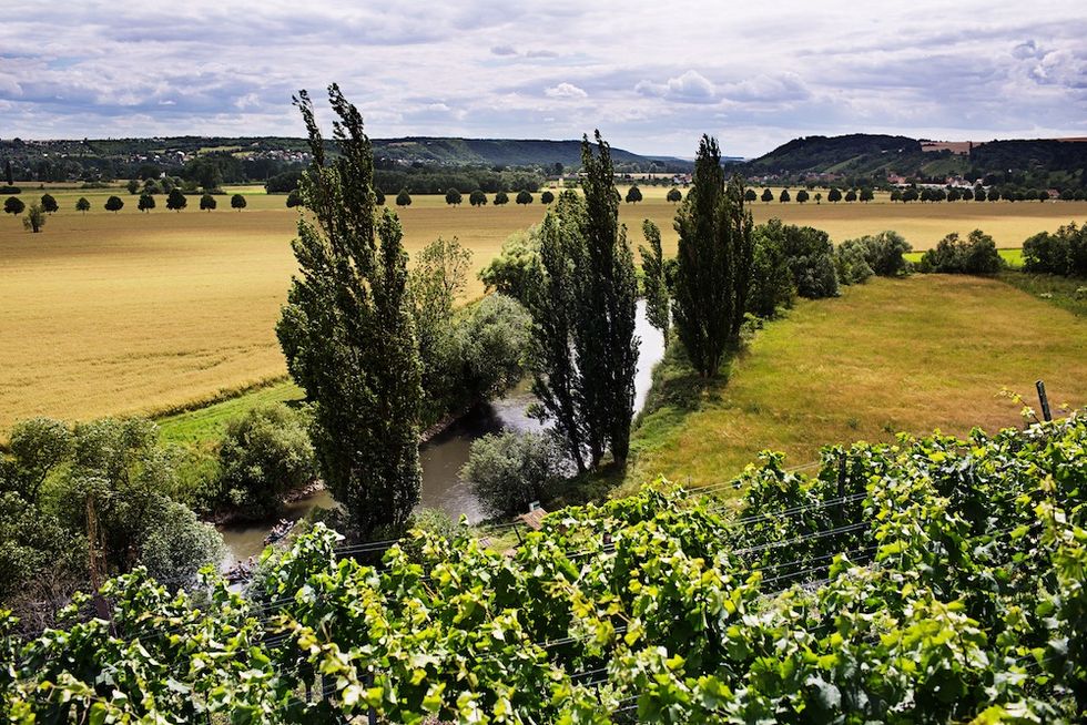 Upptäck Saale-Unstrut – Tysklands nordligaste vinregion