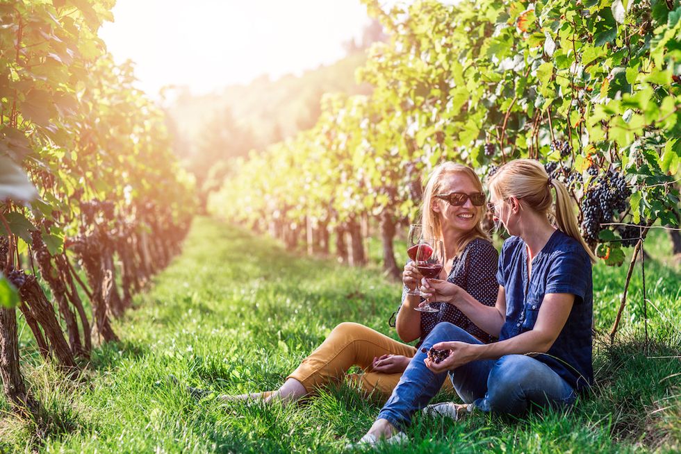 Upptäck Saale-Unstrut – Tysklands nordligaste vinregion