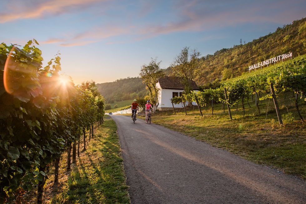 Upptäck Saale-Unstrut – Tysklands nordligaste vinregion