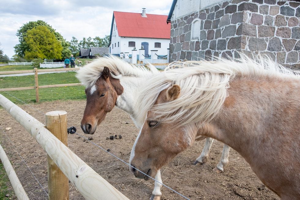 Gruvan tvingade Mårten och Anna-Karin att flytta