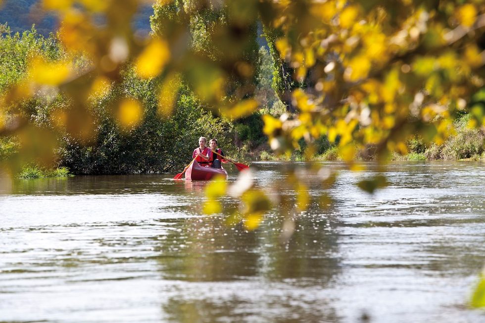 Upptäck Saale-Unstrut – Tysklands nordligaste vinregion