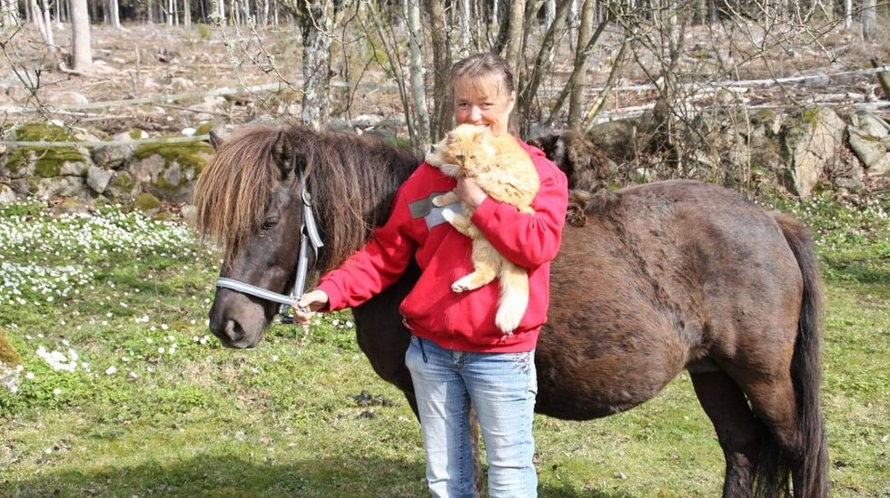 Ellinor ärvde sin mammas dröm - och kärleken till hästar