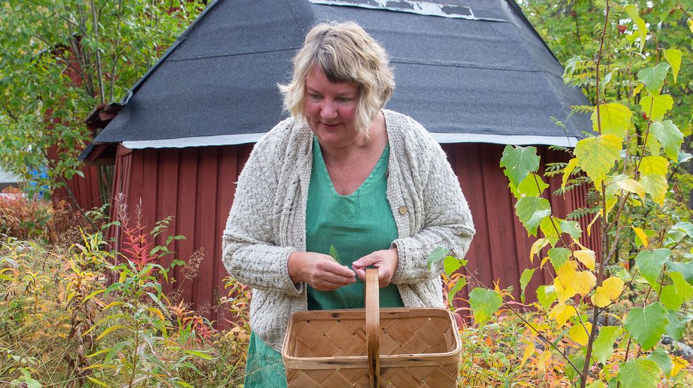 Eva förvandlar vilda växter till samiska smaker