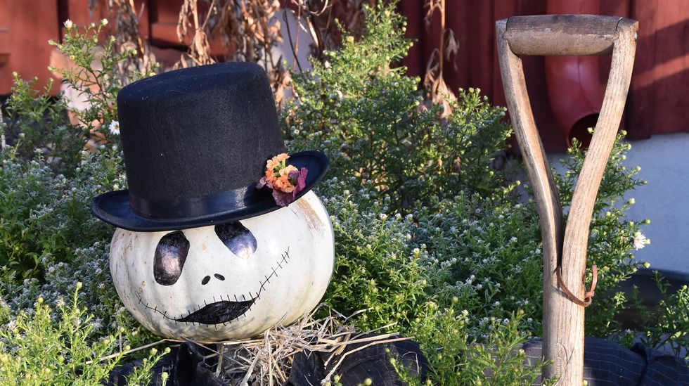 Fixa höstfint med pumpor!