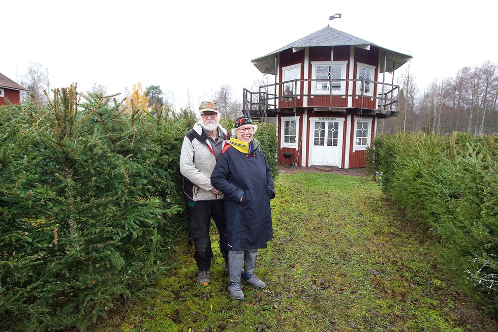 Vi har en labyrint bestående av 1700 granar i trädgården!