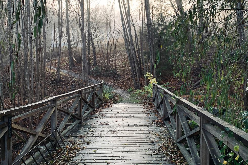 Ta en promenad i Vintersverige!