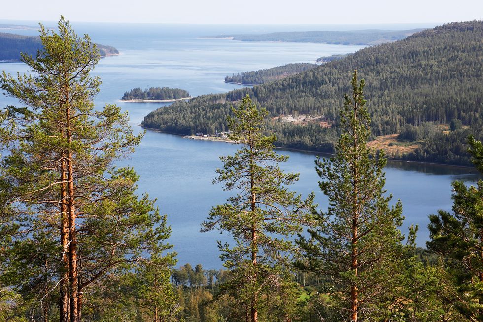 Ta en promenad i Vintersverige!