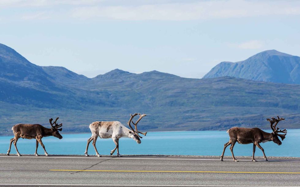 AVSLUTAD RESA: Upplev Höga kusten & Inlandsbanan!