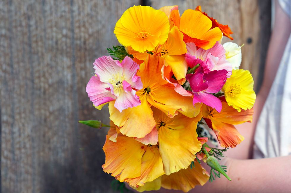 Vårens läckra frönyheter – 13 favoritblommor