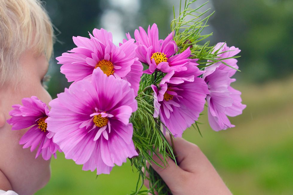 Vårens läckra frönyheter – 13 favoritblommor