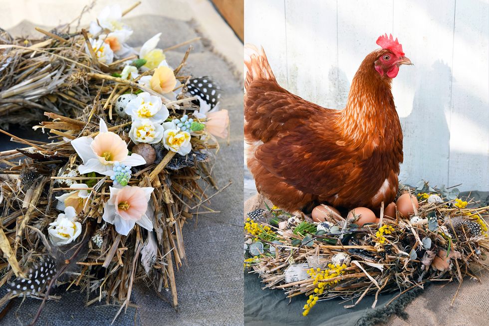 Njut av påskens vackraste blommor