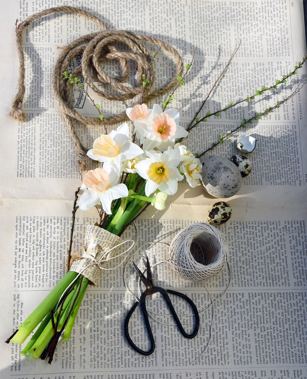 Njut av påskens vackraste blommor